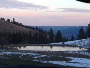 Start the Seeds Already Image